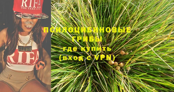 СК Зерноград