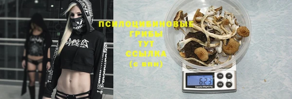 мдма Зеленодольск