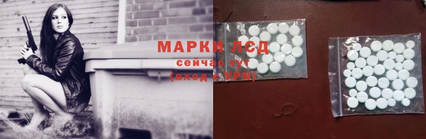 СК Зерноград