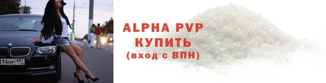 СК Зерноград