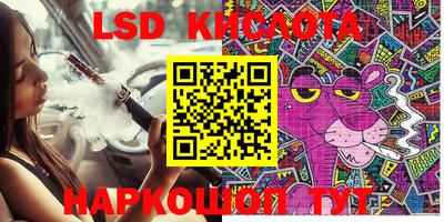 PSILOCYBIN Заводоуковск
