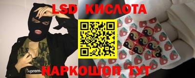 стаф Лесосибирск
