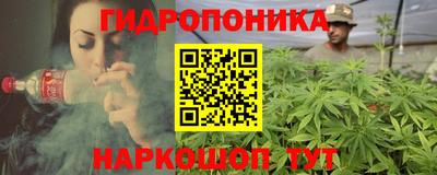 PSILOCYBIN Заводоуковск