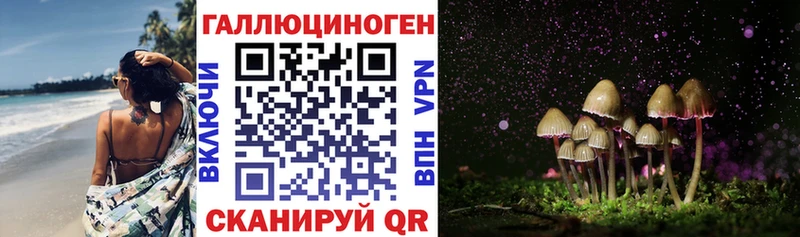 хочу   Кашира  Галлюциногенные грибы Psilocybe 