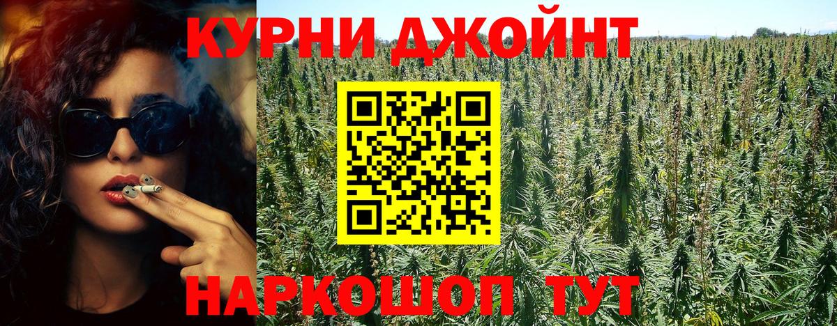Бошки Шишки планчик  Вход с VPN  Шишки марихуана гибрид  Кашира  Шишки марихуана семена 